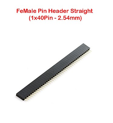 Single FeMale Pin Header Straight (1x40Pin - 2.54mm)
