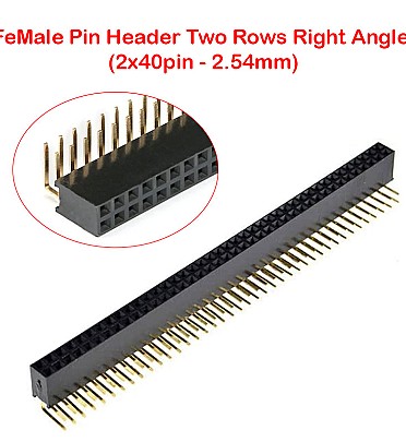 Double FeMale Pin Header Two Rows Right Angle (2x40pin - 2.54mm)