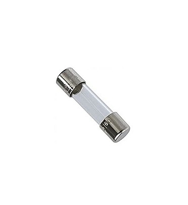 Glass Fuse 5a 250V