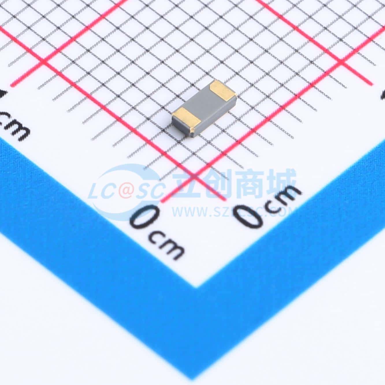 SMD Crystal Oscillator DST310S ( 32.768KHZ) 2Pin