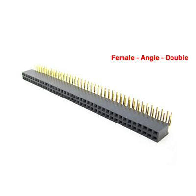 Female Pin Headers Two Rows Right Angle (2X40 pin)