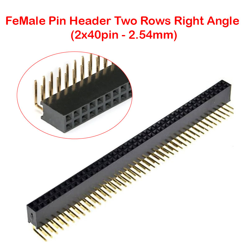 Double FeMale Pin Header Two Rows Right Angle (2x40pin - 2.54mm)