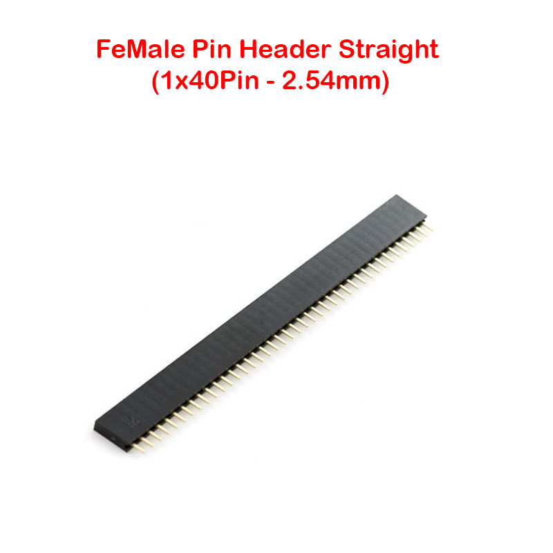 Single FeMale Pin Header Straight (1x40Pin - 2.54mm)