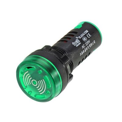 LED Flash Buzzer (Green) 220VAC